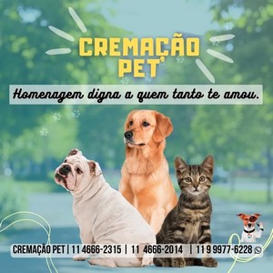 Cremação pet