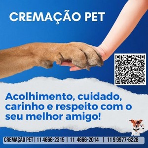 Cremação pet sp