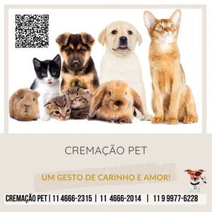 Crematório de animais