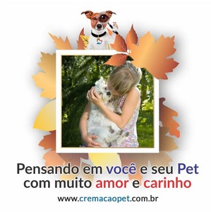 Valor de cremação de cachorro