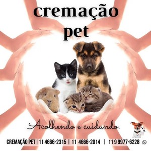 Valor de cremação de pet